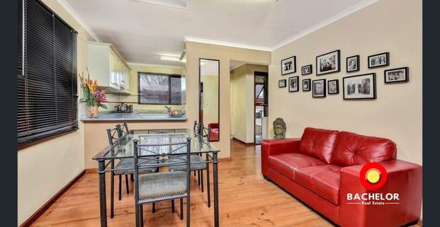 SPACIOUS FAMILY LIVING WITH A HUGE OUTDOOR ENTERTAINING AREA! - Photo 1