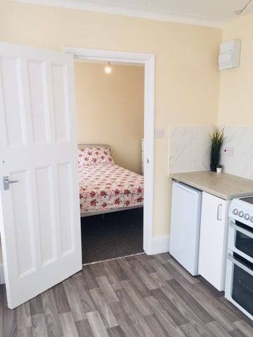 Studio Flat, Grenoble Gardens, N13 - Photo 4