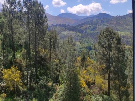 Moradia T4 - Photo 2