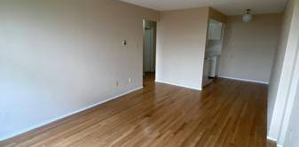 1 Bedroom Suite Vacancy - Photo 2