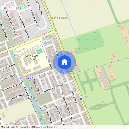 38 Survila Street, Takanini, Papakura