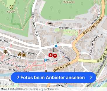 Renovierte 3 Zimmer-Wohnung in Horb-Stadt zu vermieten! - Foto 1