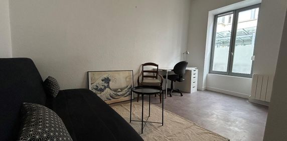 Location Appartement 1 pièce 21m² ST ETIENNE 42000 - Photo 2