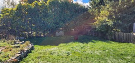 For Lease - 5734 Hwy 12 N/A Unit# 1, Ramara, Ontario - Photo 5