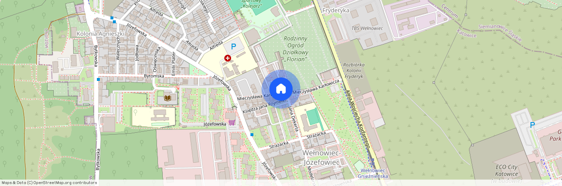 ul. Mieczysława Karłowicza, Wełnowiec-Józefowiec, Katowice, śląskie