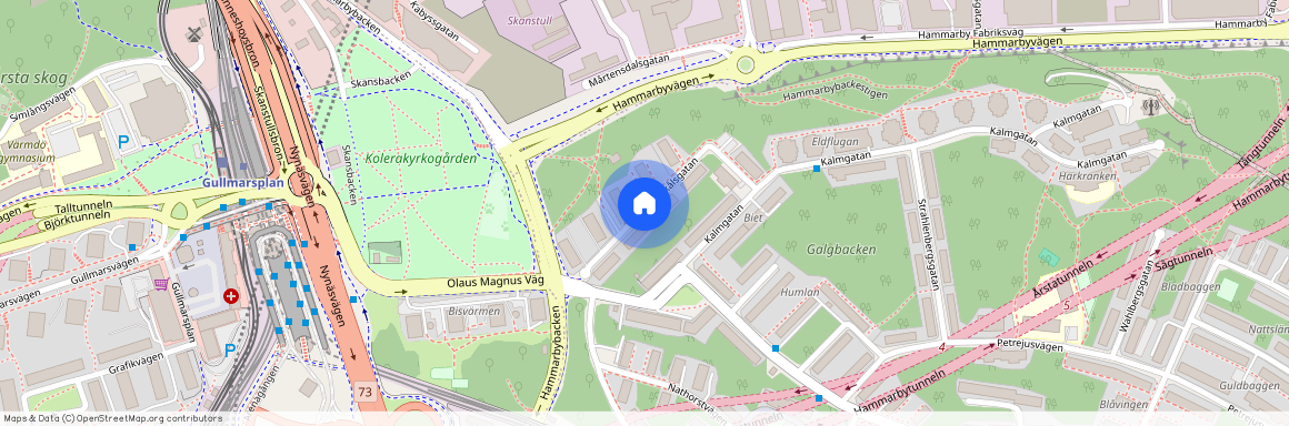 Forsskålsgatan, Johanneshov