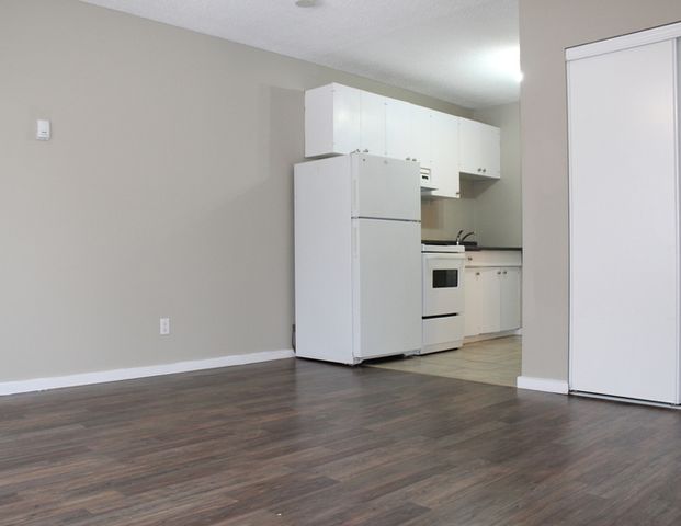 Villa Apartments | 11217 124 Street NW, Edmonton - Photo 1