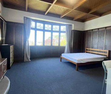 Newly Renovated Self-Contained Apartment - Photo 4