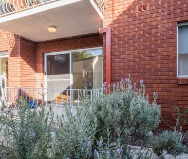 1/153 Union Street, The Junction NSW 2291 - Apartment For Rent | Do... - Photo 6