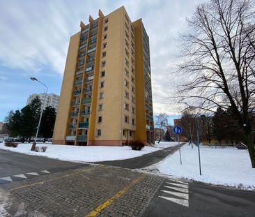 Pronájem bytu 1+kk • 27 m² bez realitkyOkružní, Orlová - Horní Luty... - Photo 3