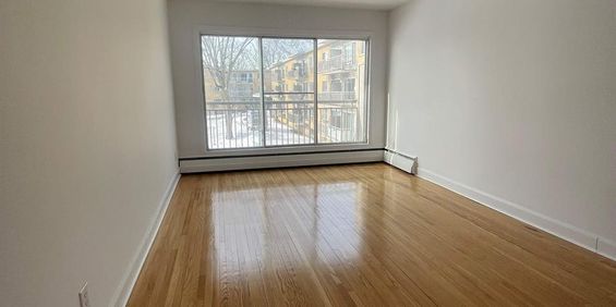 1 CH - 1 SDB - Montréal - $1,300 /mo - Photo 3