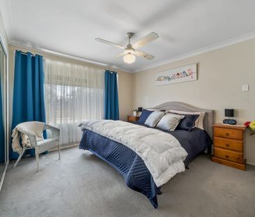 run to paradise - Photo 5