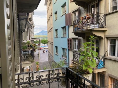 TEMPORARY until January 2027 – 2-room apartment at Schwanenplatz - Foto 3