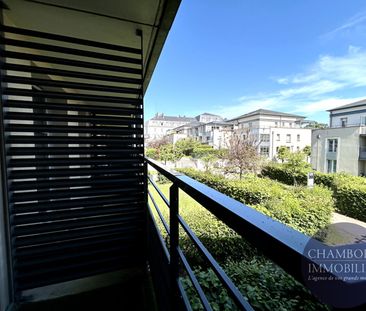 BLOIS - Studio quartier Basilique - Photo 1