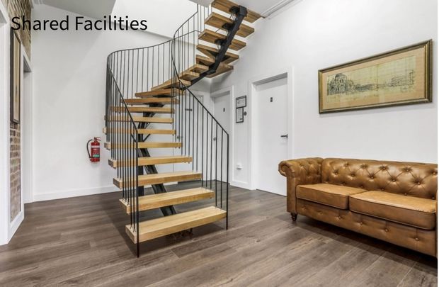 6/117 Probert Street, Newtown NSW 2042 - Studio For Rent | Domain - Photo 1