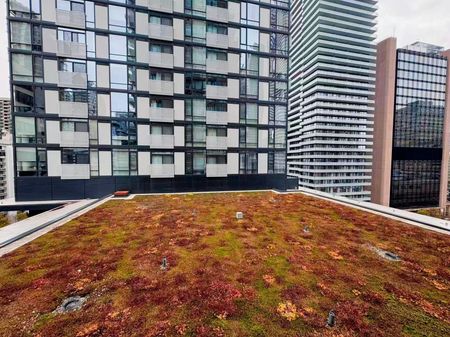 For Lease - 18 Maitland Terrace Unit# 904, Toronto, Ontario - Photo 4