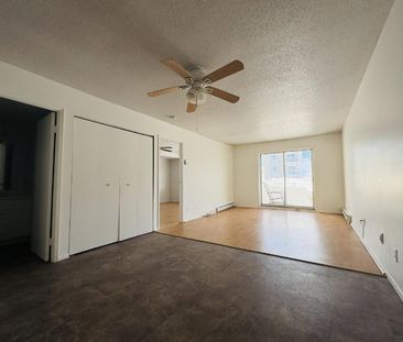 Appartement 3 ½ à louer Sainte-Foy / Sillery juillet 2026 - Photo 4