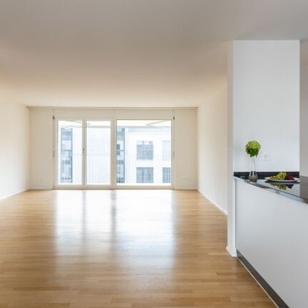 Votre appartement familial à Frauenfeld - Photo 1