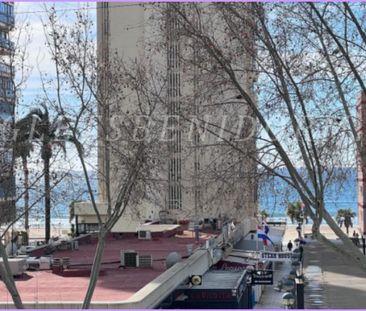 REF. 1852-Benidorm-Av. Mediterráneo-750€ - Photo 4