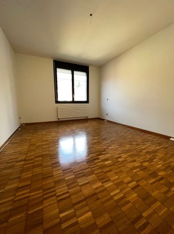 Cervo 2 - Foto 5