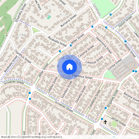 30 Clianthus Street, O'Connor