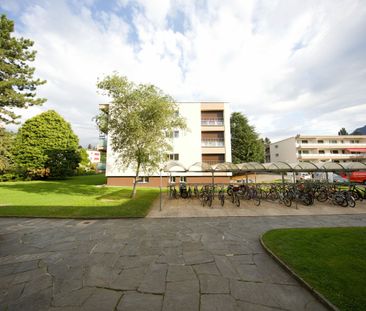 Beautiful renovated studio in quiet and green area - Photo 4