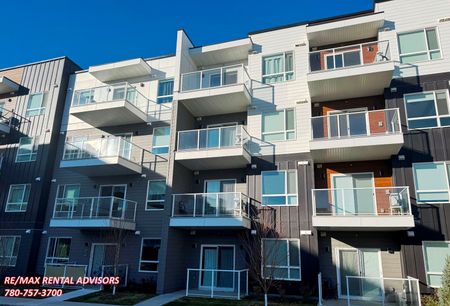 BRAND NEW 1 BED 1 BATH 1ST-FLOOR APARTMENT WITH AN ON-SITE PARKING IN THE COMMUNITY OF BELMONT - Photo 4