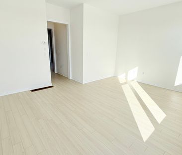 For Lease - 80 Lunay Drive, Richmond Hill, Ontario - Photo 5