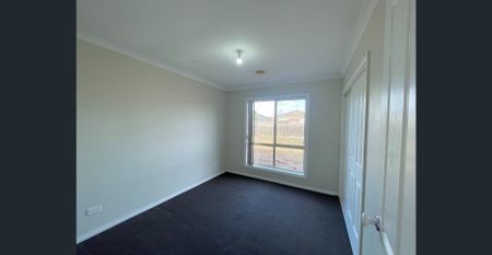 Light Bright and Central - Photo 4