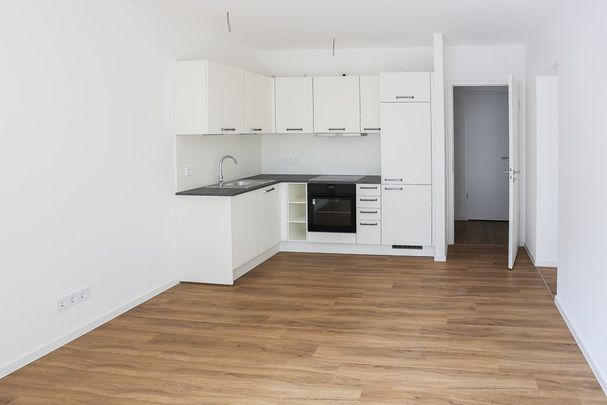 Kompakter Grundriss mit allerlei Highlights - 2-Zi.-Wohnung mit Süd-Terrasse im Erdgeschoss - Foto 1