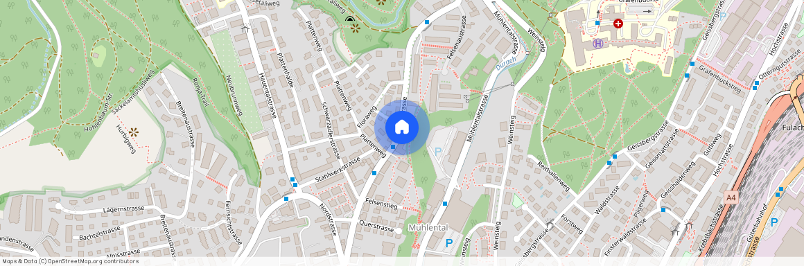 Lochstrasse 50a, 8200, Schaffhausen