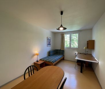 STUDIO MEUBLE EN PARFAIT ÉTAT IDÉALEMENT SITUÉ GIERES CAMPUS - Photo 5