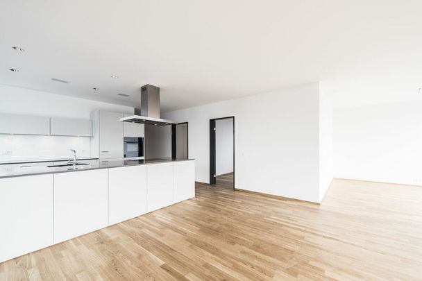 4 1/2 room attic apartment in the center of Uster - Photo 1