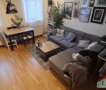 Gemütliche Erdgeschoßwohnung sucht langfristige/n Mieter/In- - Photo 2