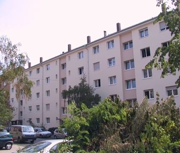 3 Zimmer, Küche, Dusche, Balkon, 1.OG rechts - Photo 2