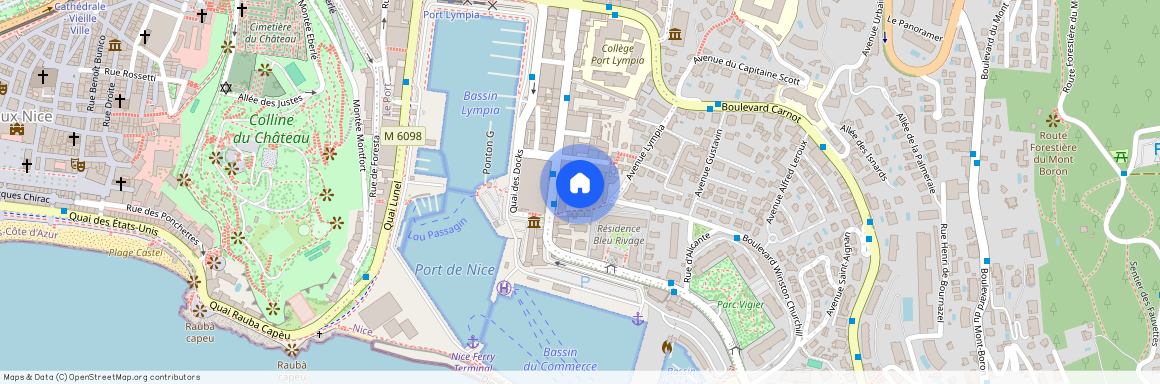 17 IMPASSE JEANNE MARLIN, NICE PORT