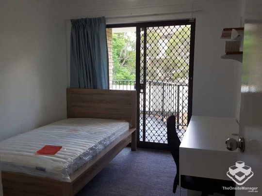 Two bedroom furnished apartment , walk to UQ St lucia campus - Photo 1