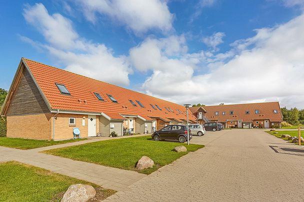 3-værelses Lejlighed på 74 m² i Odense SØ - Photo 1