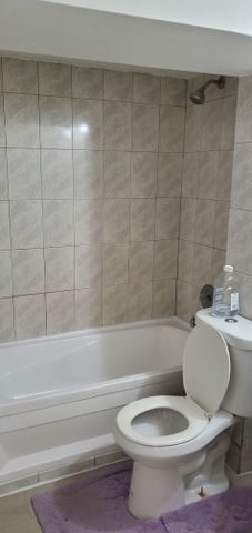 For Lease - 23 Armitage Drive Unit# Bsmt, Toronto, Ontario - Photo 3