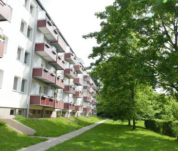 Moderne 2-Raumwohnung im Grünen - Foto 3