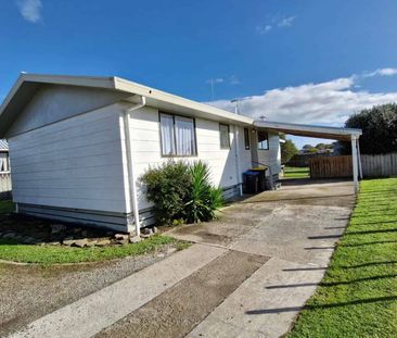 Close To Mitre Ten & Pak N Save - Photo 1