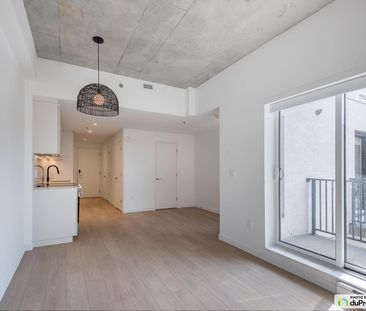 3420, Bd Saint-Joseph E, Rosemont / La Petite Patrie à louer - Photo 5