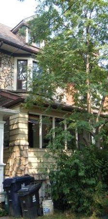 Bright 1-bedroom apartment close to public transit - Photo 1