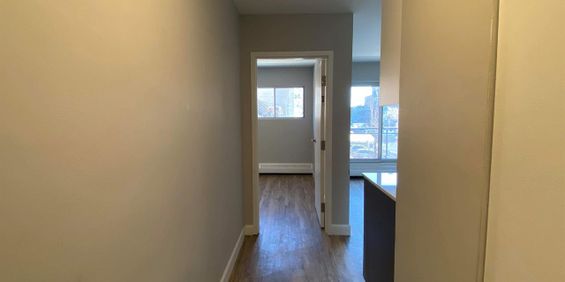 1 CH - 1 SDB - Montréal - $1,375 /mo - Photo 3