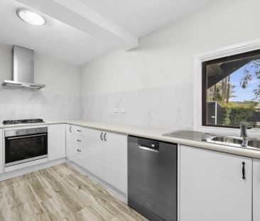 Spacious Lower Duplex with Expansive Rear Courtyard - Photo 3