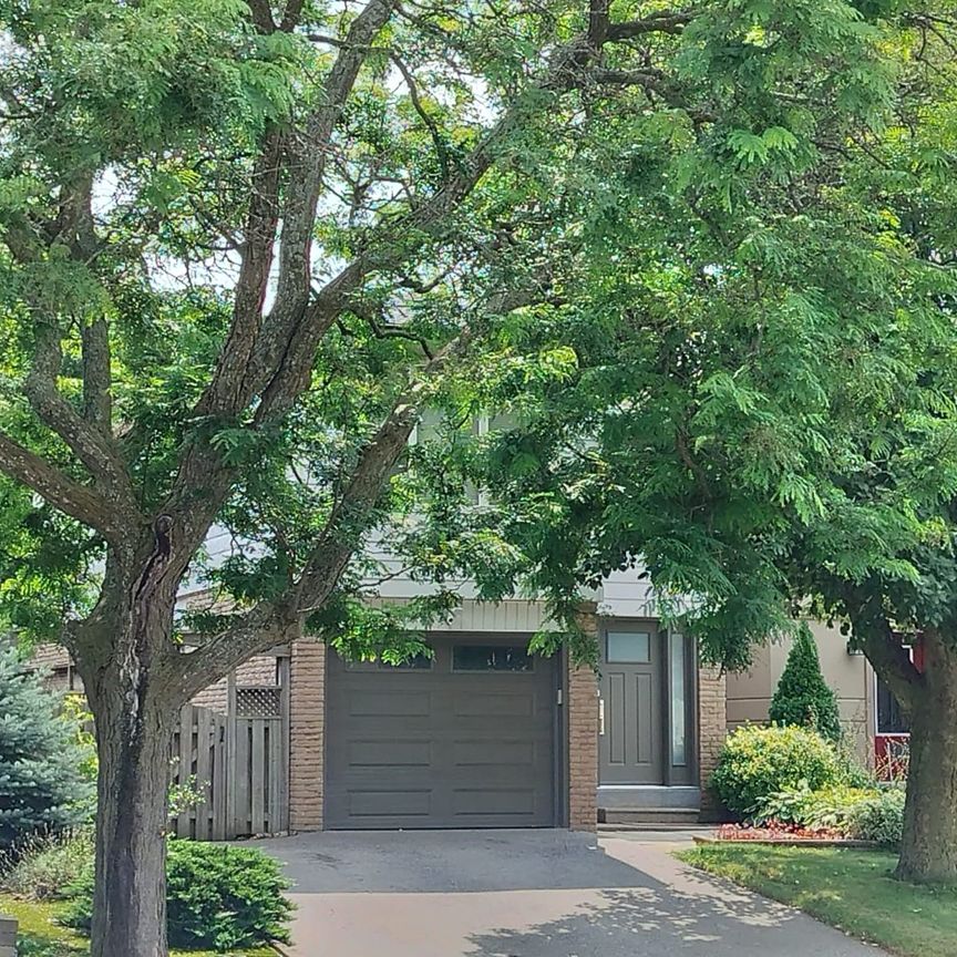 For Lease - 95 Orsett Street Unit# Rm 1, Oakville, Ontario - Photo 1