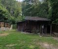 Piaseczyński, Piaseczno - Photo 5