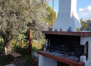 Μονοκατοικία για ενοικίαση - Μαρκόπουλο, - Photo 3