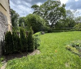 ++ großzügige, helle 3-Zimmer im Zentrum mit Terrasse ++ - Foto 4