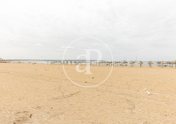 Flat for rent close to the beach in Can Pastilla